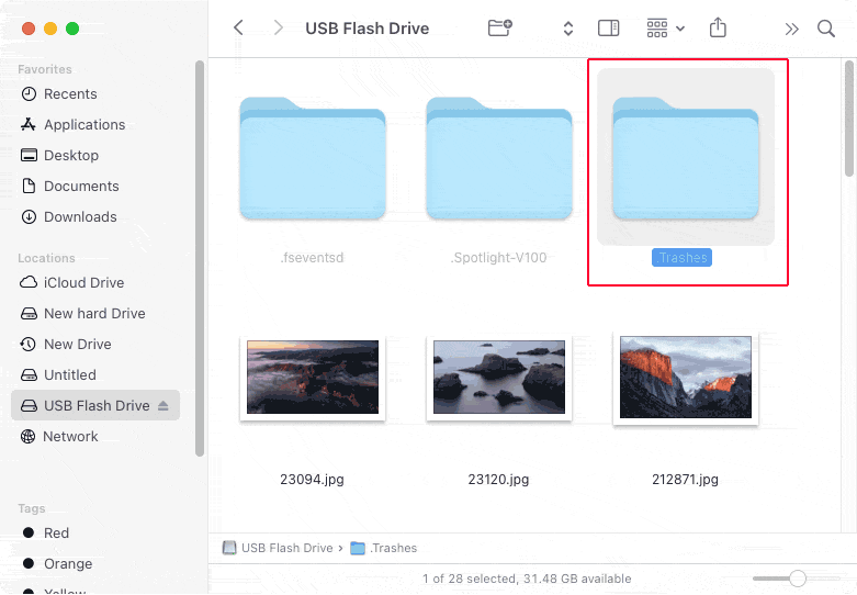 the Hidden .Trashes Folder