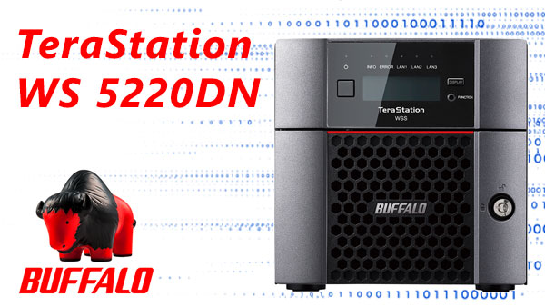 Recuperación RAID 1/0 Buffalo TeraStation WS5220DN 2 bahías — causas, riesgos, soluciones