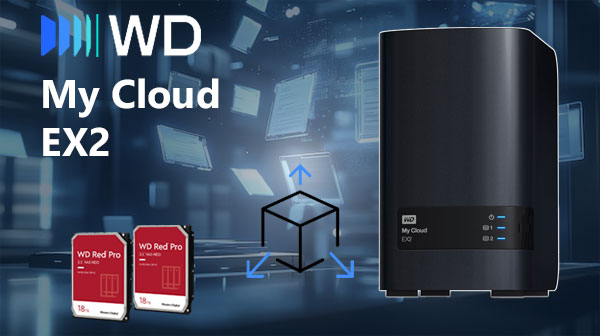 WD My Cloud EX2 2 discos | Recuperación de archivos